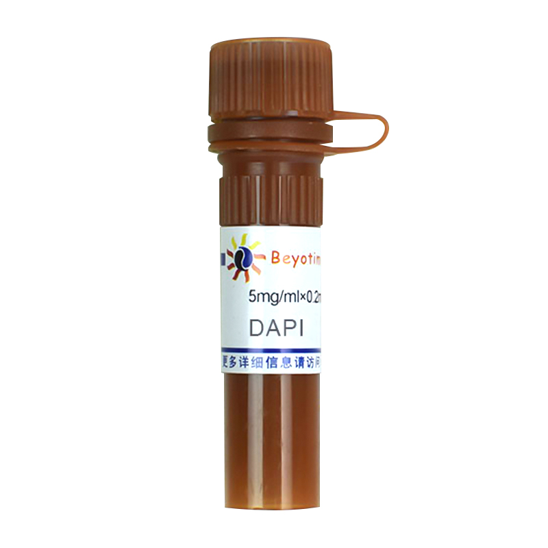 DAPI(DAPI荧光染料)(C1002)