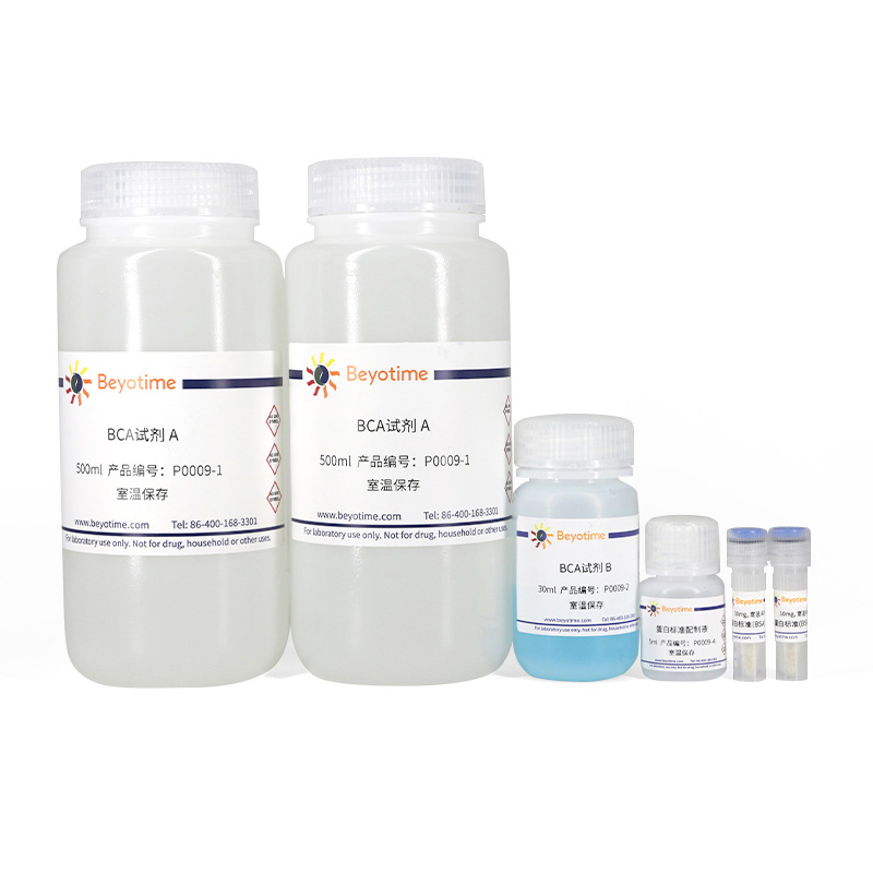 BCA蛋白浓度测定试剂盒(增强型)(P0009)