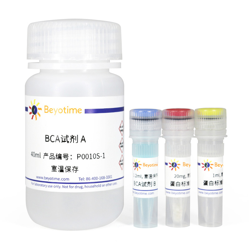 BCA蛋白浓度测定试剂盒(增强型)(P0010S)
