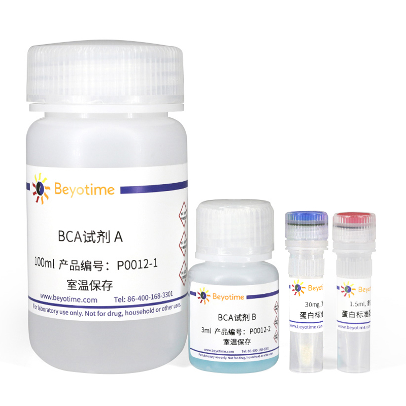BCA蛋白浓度测定试剂盒(P0012)