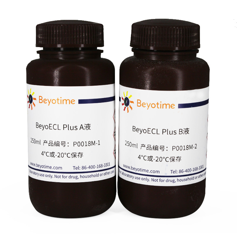 BeyoECL Plus (超敏ECL化学发光试剂盒)(P0018M)