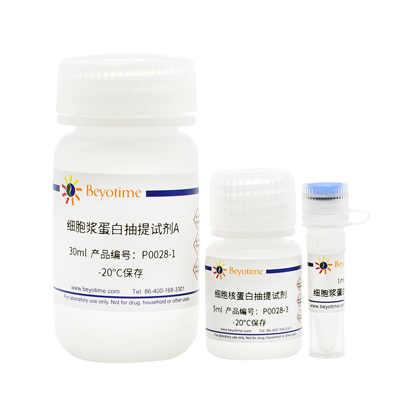细胞核蛋白与细胞浆蛋白抽提试剂盒(P0028)